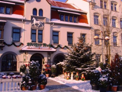 Foto: Weißes Roß